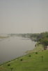 Buffalo crossing the Yamuna River behind the Taj Mahal.  